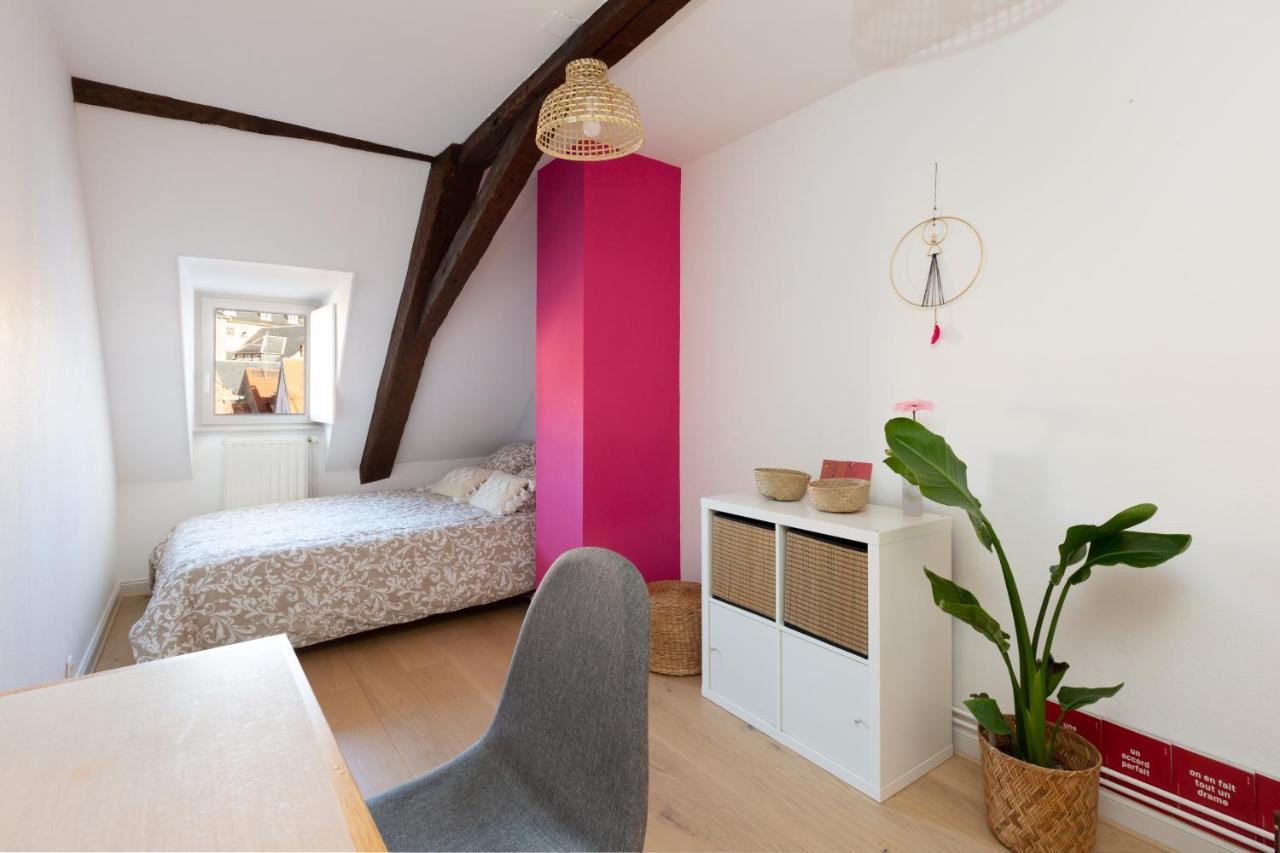 Petite France-Cathedrale, Duplex 100M2- 3 Chambres Straßburg Exterior foto
